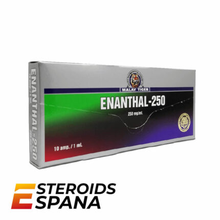 Enantato de Testosterona ZPHC Testosterone Enanthate 250 mg/ml (1 ampolla)