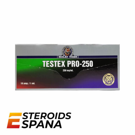 Enantato de Testosterona ZPHC Testosterone Enanthate 250 mg/ml (1 ampolla)