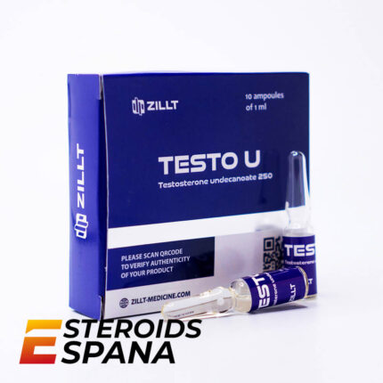 Undecanoato de Testosterona Zillt Testo U 250 mg/ml (1 ampolla)