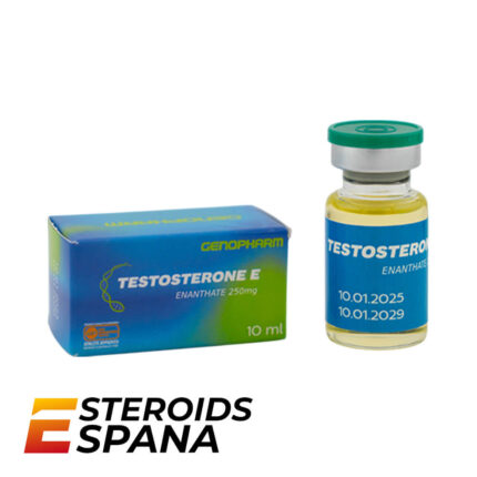 Enantato de Testosterona Genopharm Testosterone E 250 mg/ml